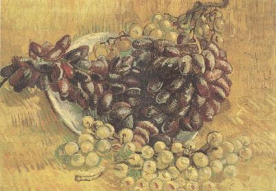 Vincent Van Gogh Still life wtih Grapes (nn04) oil painting picture